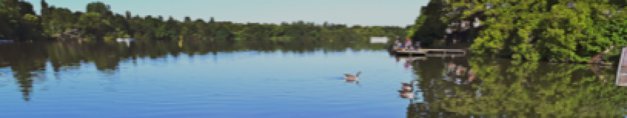 Sutton Coldfield Life